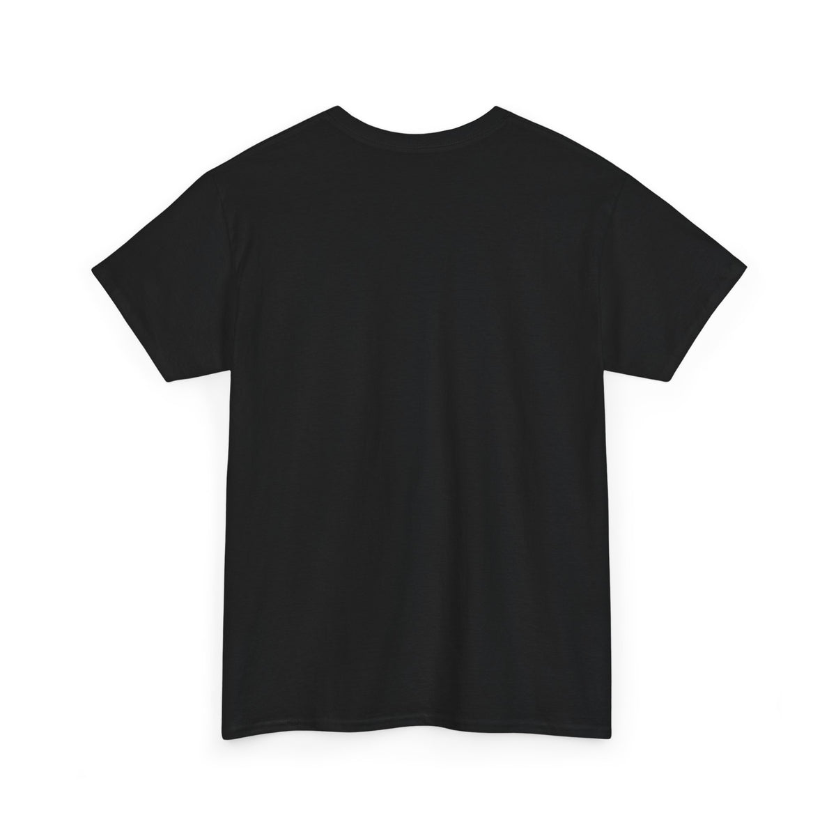 Electricity Is Derived from Non-Renewable Energy Sources T-Shirt
