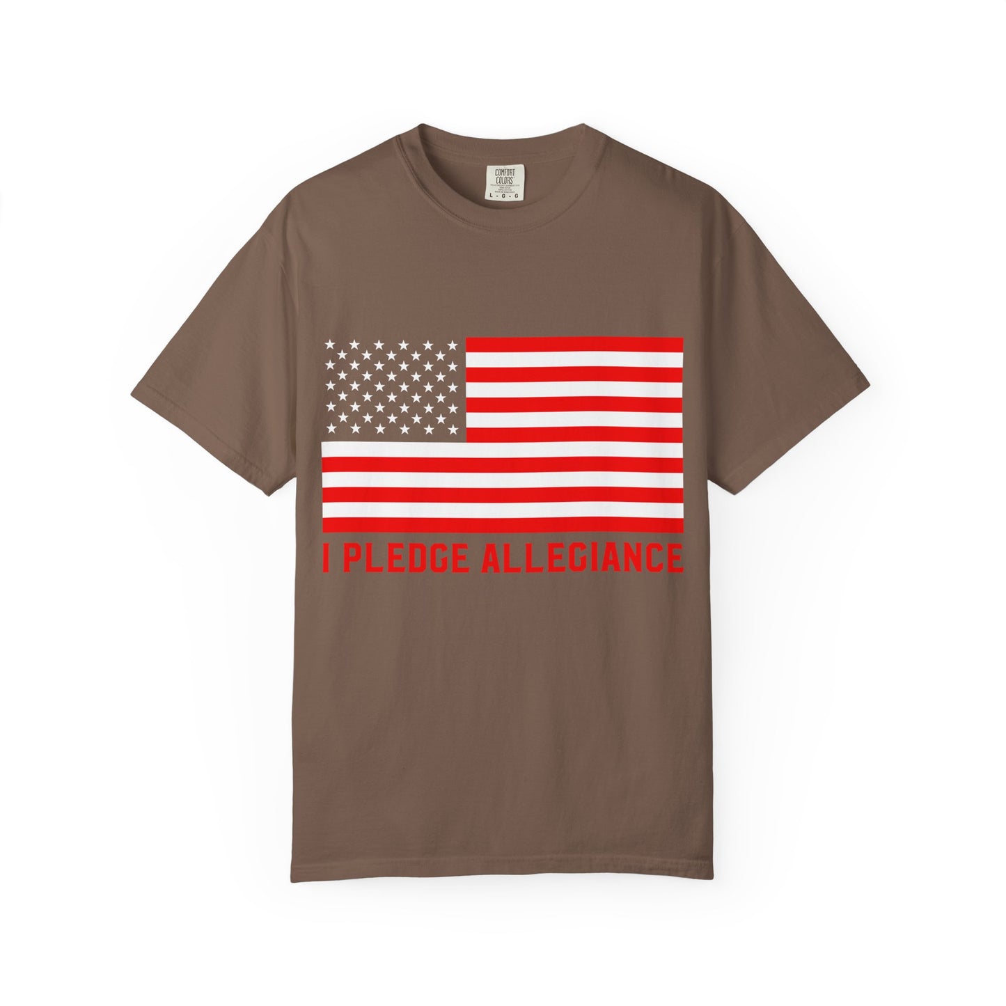 Patriotic Unisex T-Shirt, Casual Wear, Independence Day, Gift for Veterans, Stylish Tee with 'I Pledge Allegiance' Design